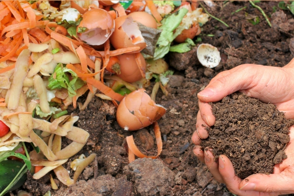 composting for food forest