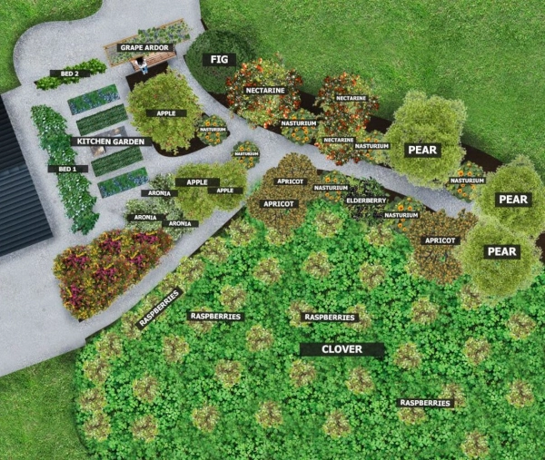 food forest design plan