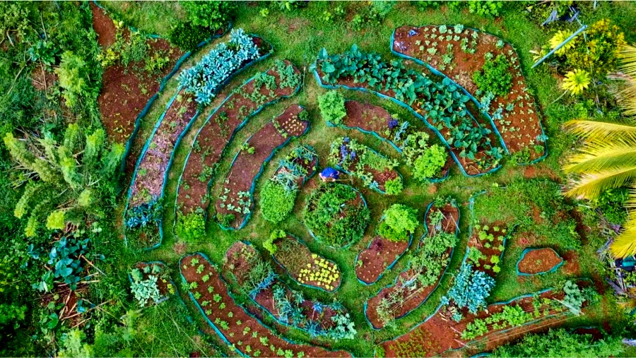 food forest circular